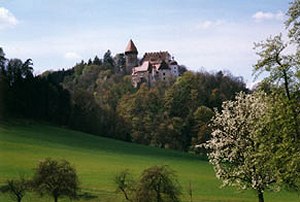 Clam Castle/Burg Clam