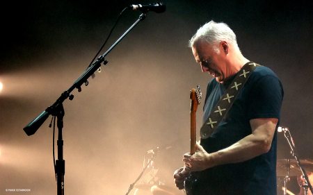 David Gilmour - 2006 tour wallpaper