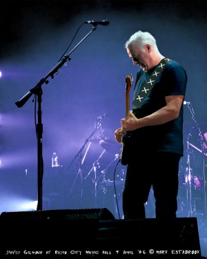 David Gilmour